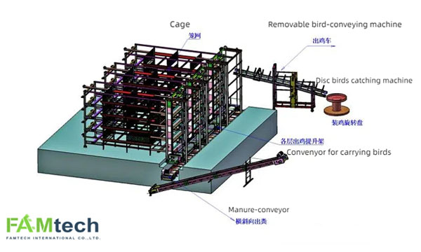 h type broiler cage auto harvesting system