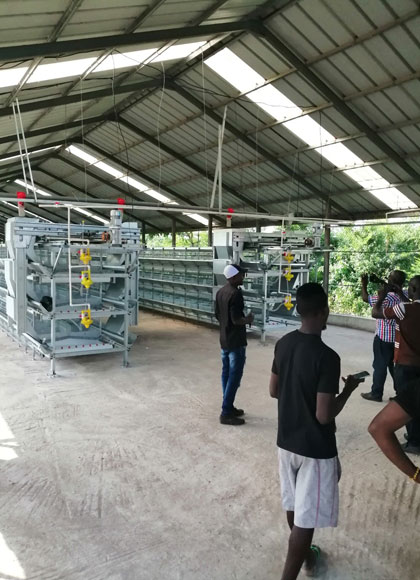 Nigeria-Advanced-H-Type-Layer-Cage-Project-1.jpg