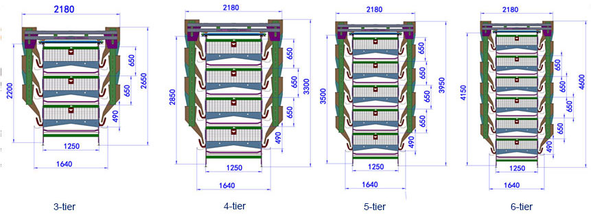 Layer Cages For Sale | A Type H Type Chicken Layer Cage | FamTECH