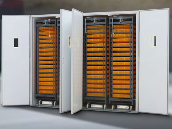 10000 egg incubator supplied