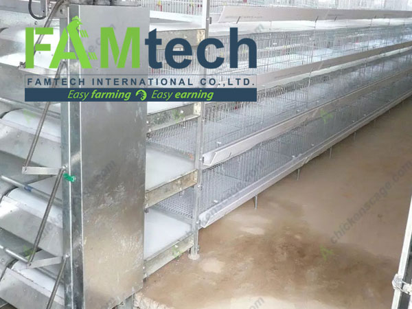 10000 broiler project with H type broiler cage