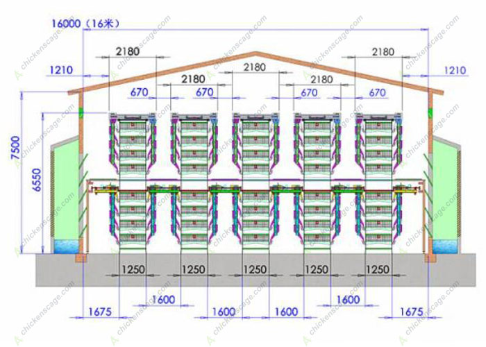 100000 layer farm layout