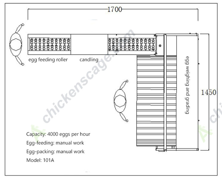 Egg Grading Machine