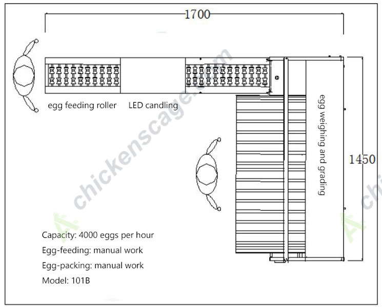 101B 4000 eggs per hour egg grader