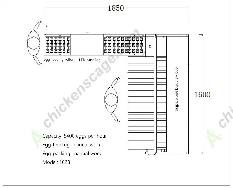 102B 5400 capacity egg grader