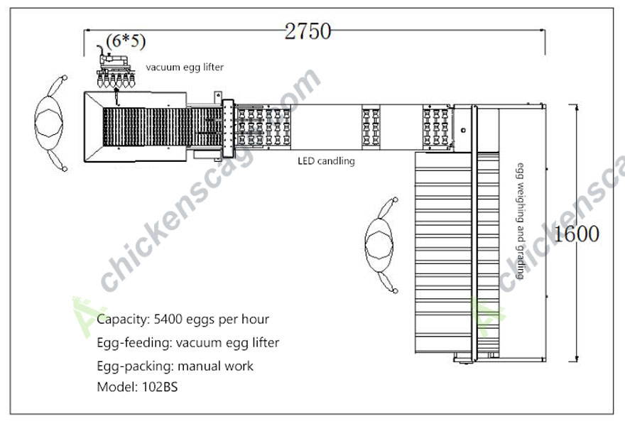 102BS 5400 capacity egg grader