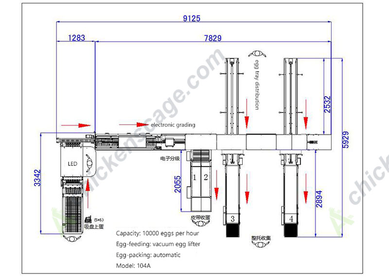 104A 10000 capacity egg grader