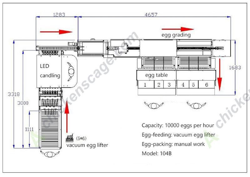 104B 10000 capacity egg grader