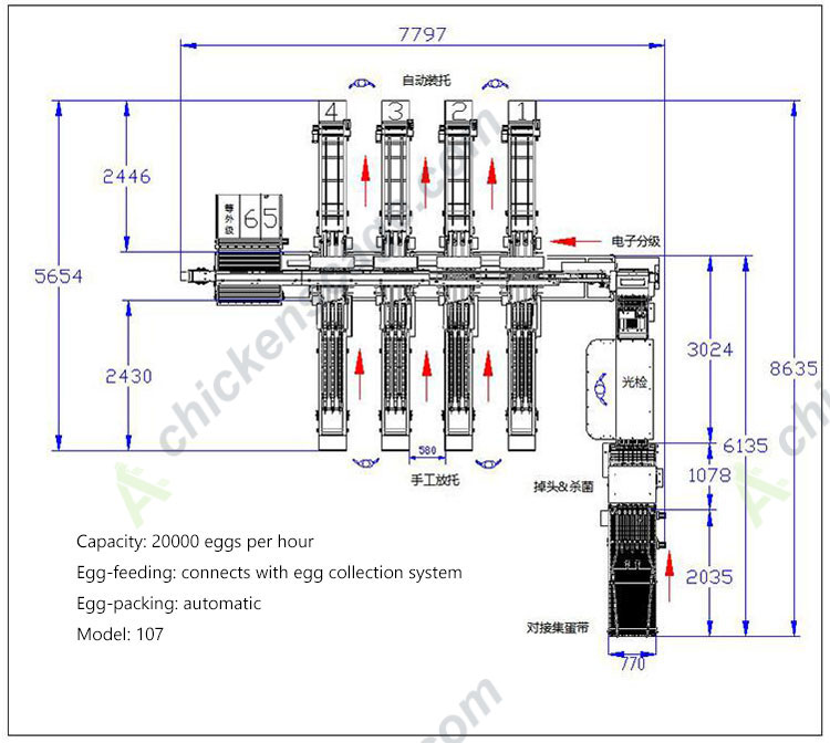 20000 capacity egg grader drawing