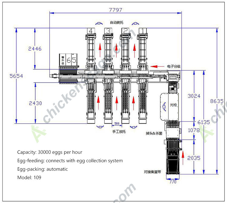 109 30000 capacity egg grader