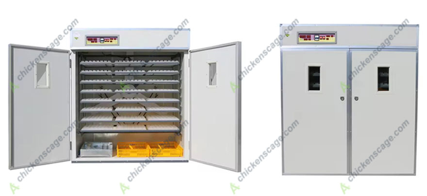 2000 capacity egg incubator advantages