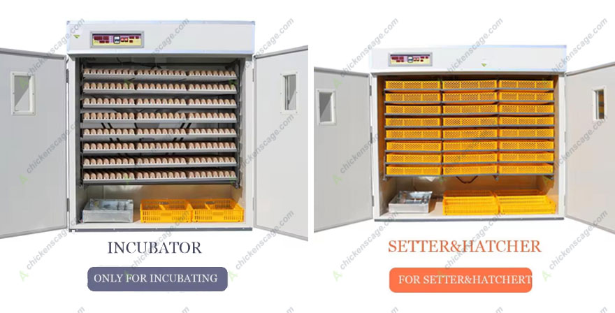 2000 egg inucator for sale