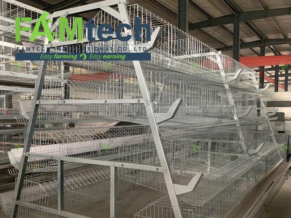 a type 4 tier layer cage detial