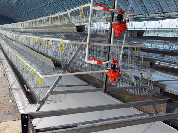3 tier a type Pretoria chicken layer cage