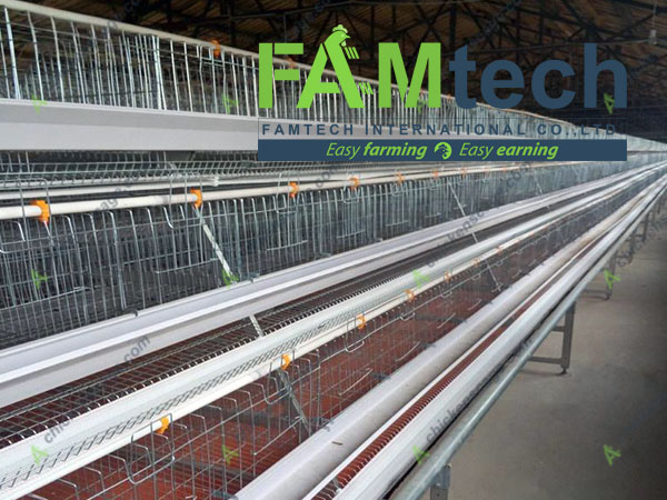 3 layer chicken cage dimension