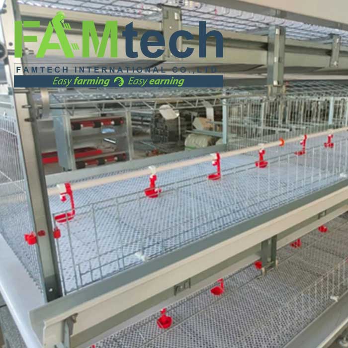 full-opening door of 3 tier H type broiler cage