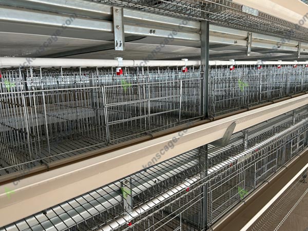 3 tier h type Pretoria chicken layer cage