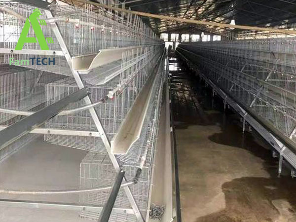 3 tier layer cage for poultry house plans