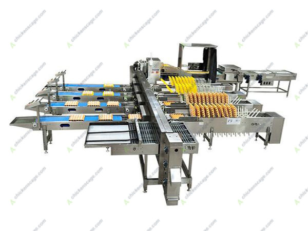 30000 capacity egg grader for sale