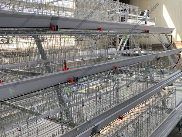 4 tier a type Pretoria chicken layer cage