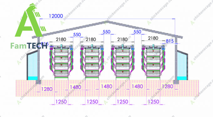 40000 layer poultry farm design plan