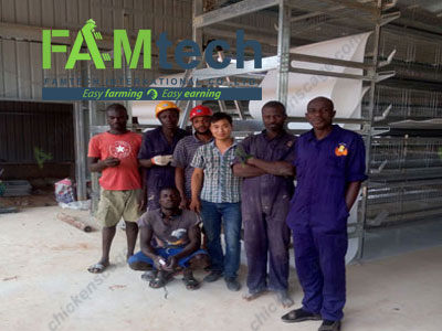 A 5-tier H type layer cage system installed in West Africa