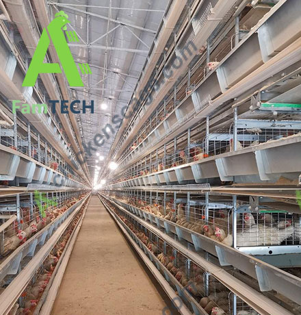 5-tier layer cage project