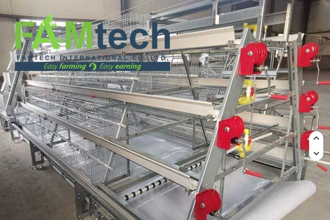 5000 broiler chicken cage