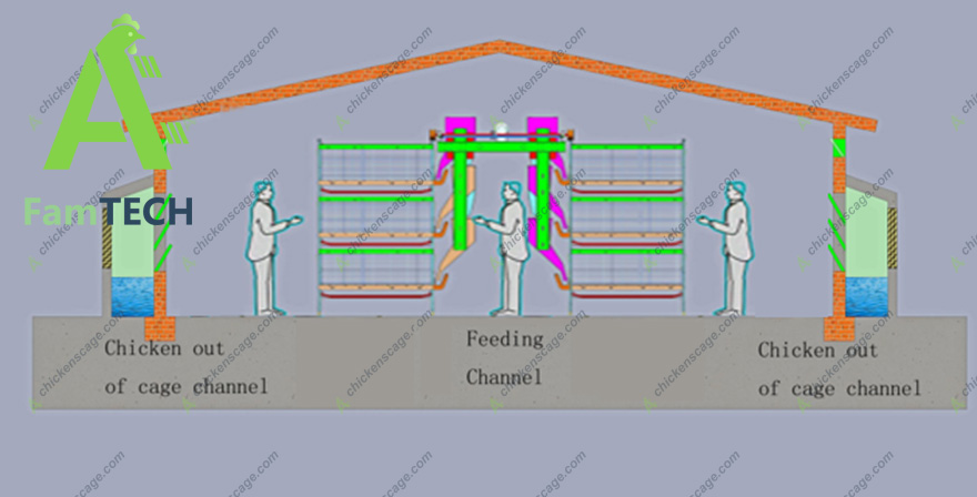 poultry house plans for 5000 broiler chicken layout