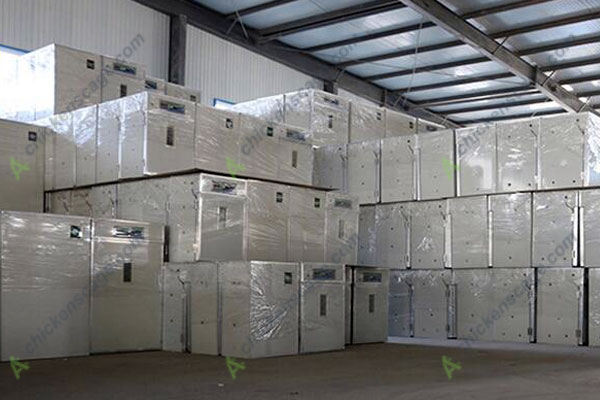 5000 egg incubator in stock
