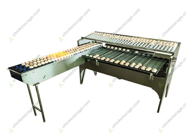 5400 capacity egg grader for sale