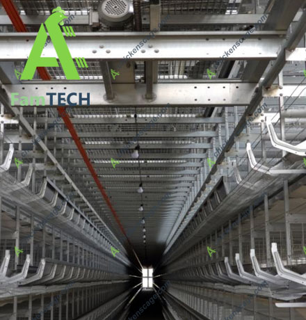 8-tier h type layer cage dimension