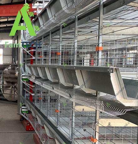 h type layer cage details