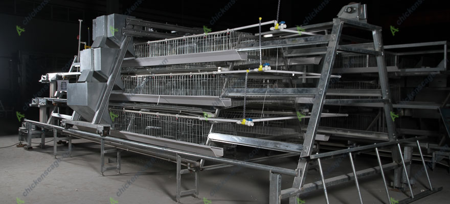 a type chicken cage for sale Philippines