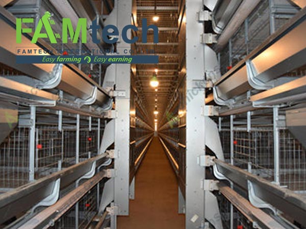 Cuba 4 tier layer cage system