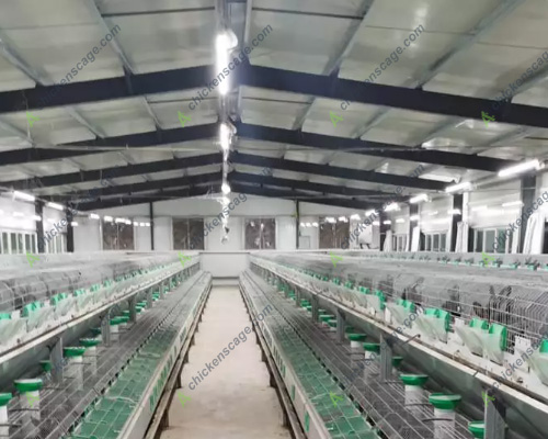 ventilation system for European-style rabbit breeding cage