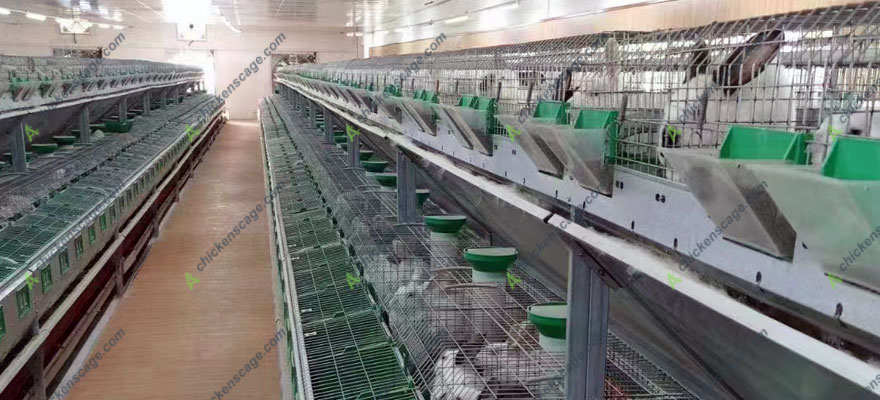 European-type rabbit breeding cage