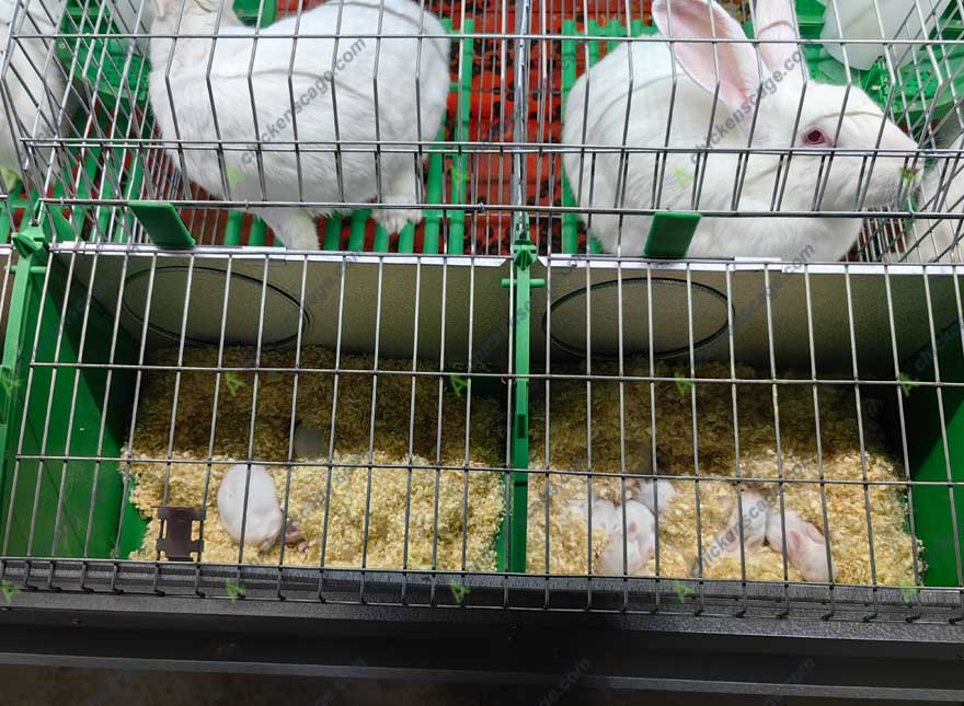 European-type rabbit breeding cage advantages