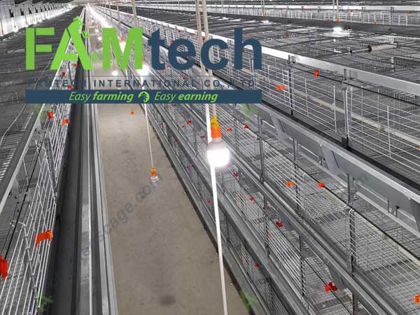 advanced European style H type broiler cage