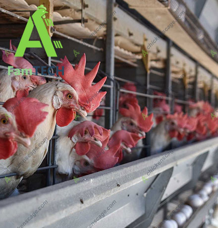 FAMtech turnkey solution