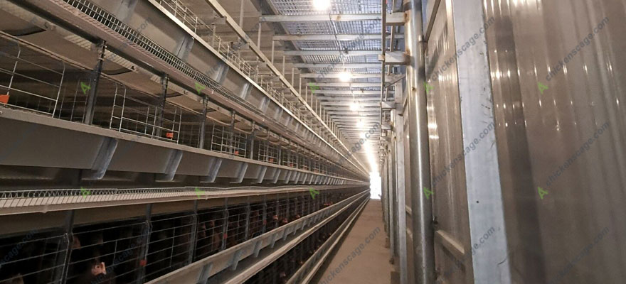 H type chicken cage for sale Philippines