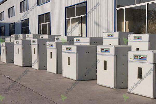 incubator 5000 eggs in factory