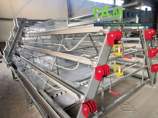 a type broiler cage system