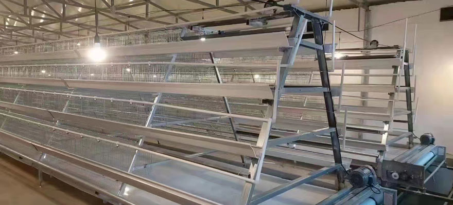 a type cage for laying chicken