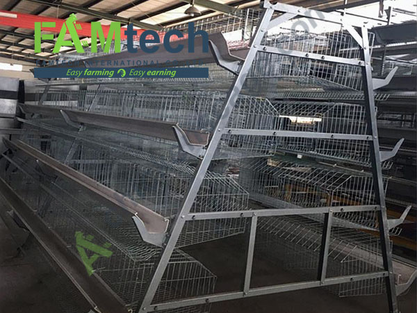 a type cage supplier