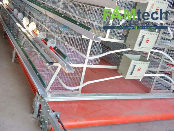 automatic manure cleaning for a type cage