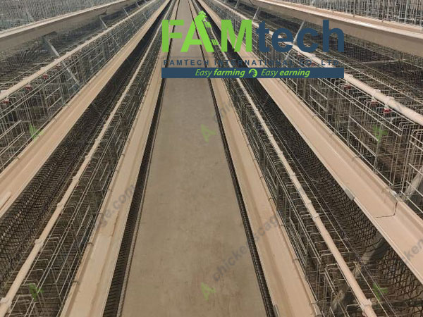 a type layer cage design