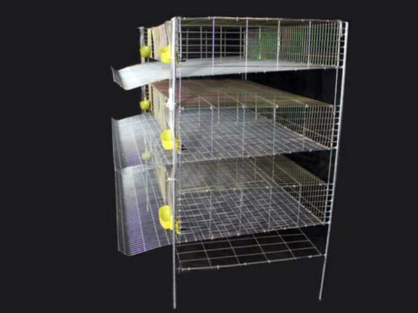 quail layer cage assembled