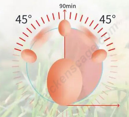 automaitc egg turning function