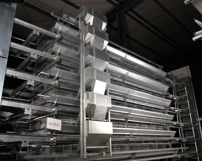 automatic chicken feeding machine for H type chicken cage